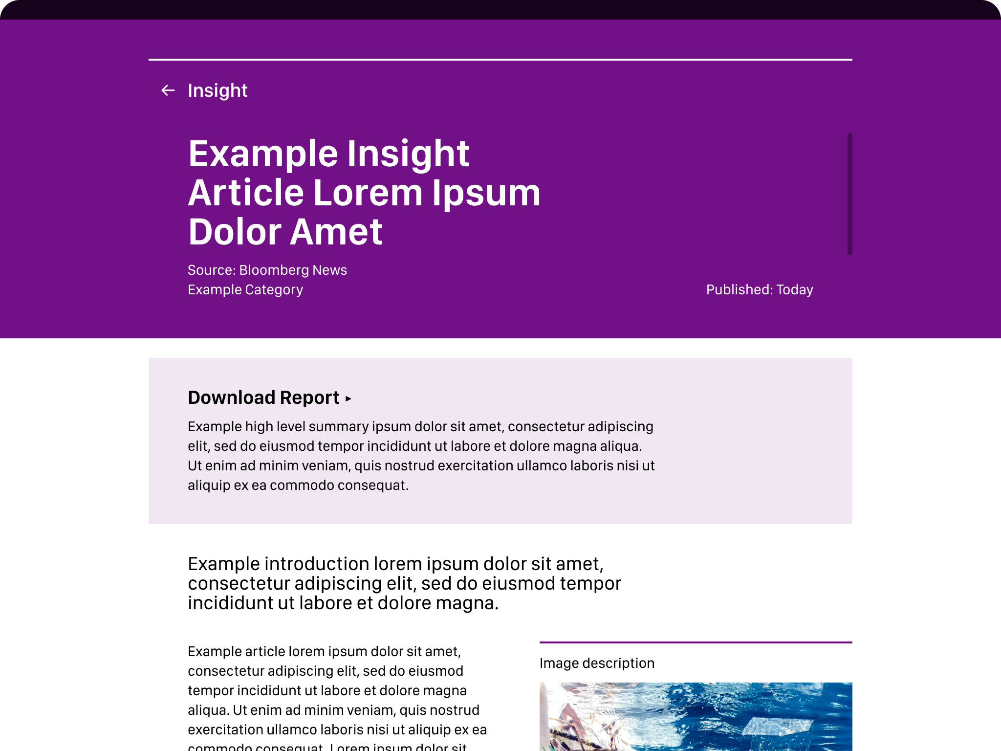 Bloomberg NEF – iPad view